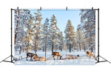 Reindeer Sledding Through Winter Pines Backdrop BRP9-326