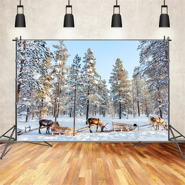 Reindeer Sledding Through Winter Pines Backdrop BRP9-326