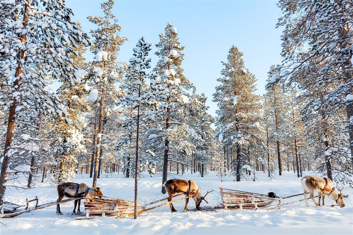 Reindeer Sledding Through Winter Pines Backdrop BRP9-326