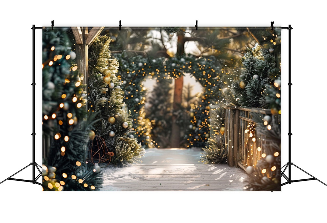 Winter Walkway Decorated Christmas Lights Backdrop BRP9-334