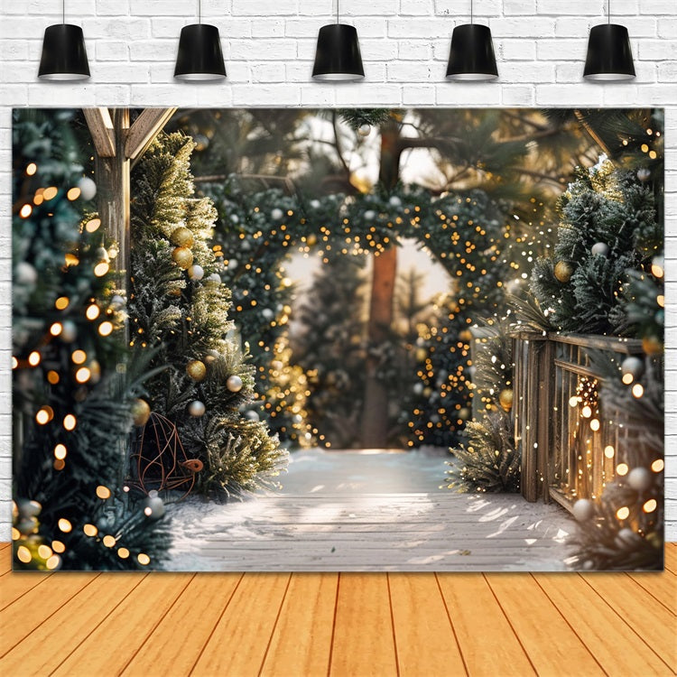 Winter Walkway Decorated Christmas Lights Backdrop BRP9-334