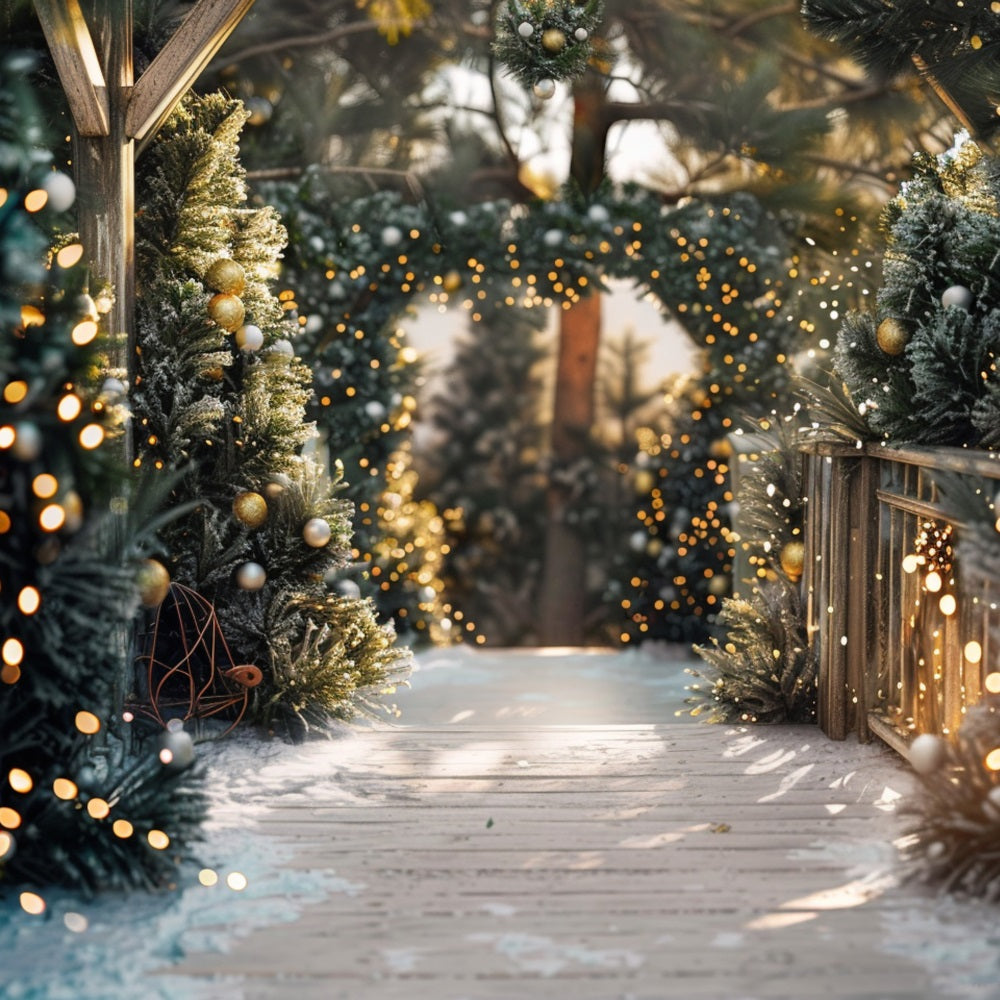 Winter Walkway Decorated Christmas Lights Backdrop BRP9-334