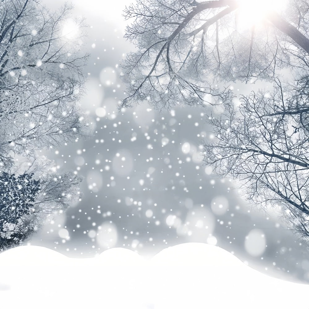 Sparkling Winter Frosted Snowflakes Forest Backdrop BRP9-344