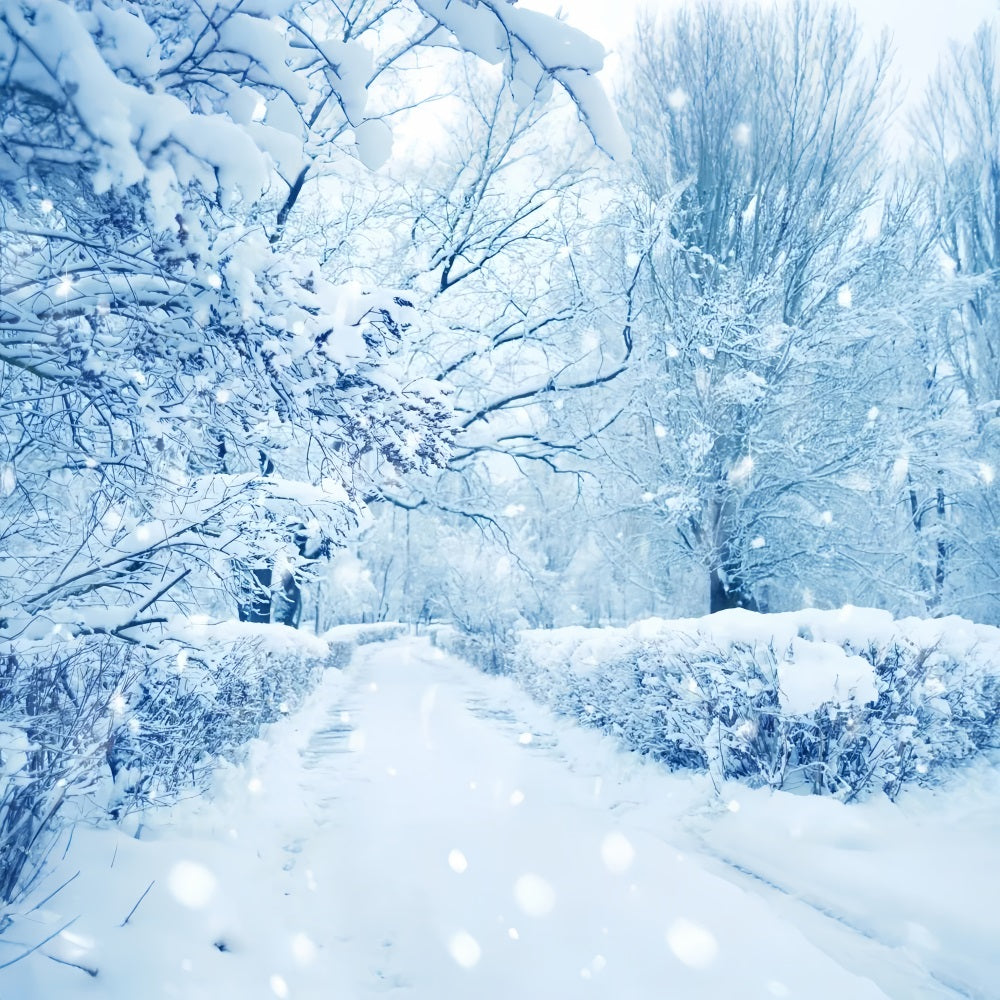 Snowy Trees Frosted Forest Winter Wonderland Backdrop BRP9-354