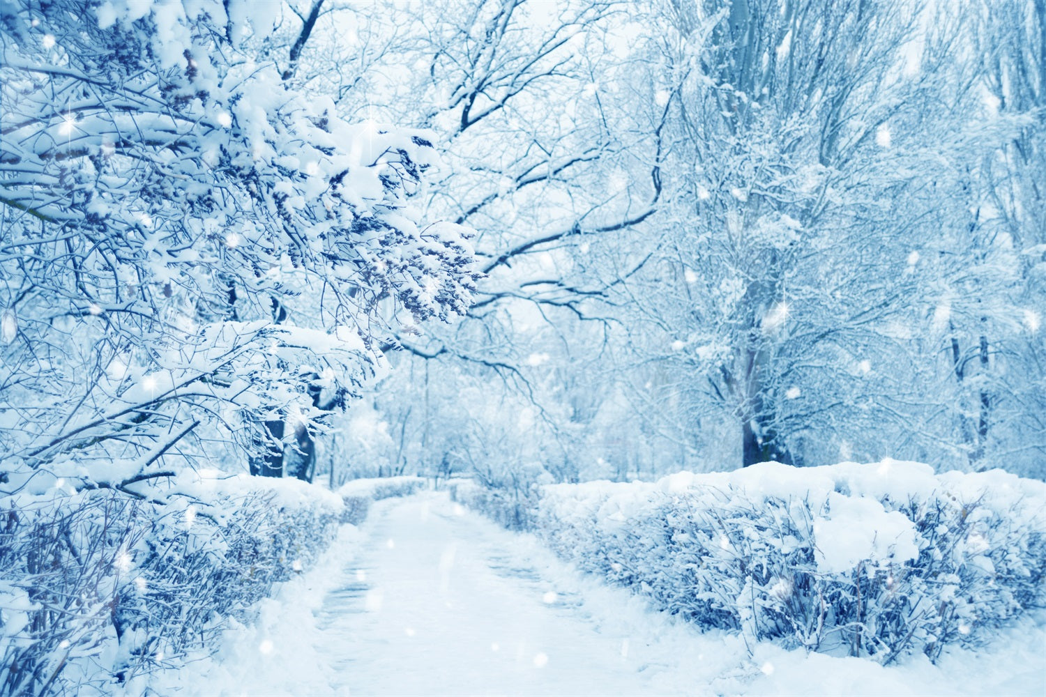 Snowy Trees Frosted Forest Winter Wonderland Backdrop BRP9-354