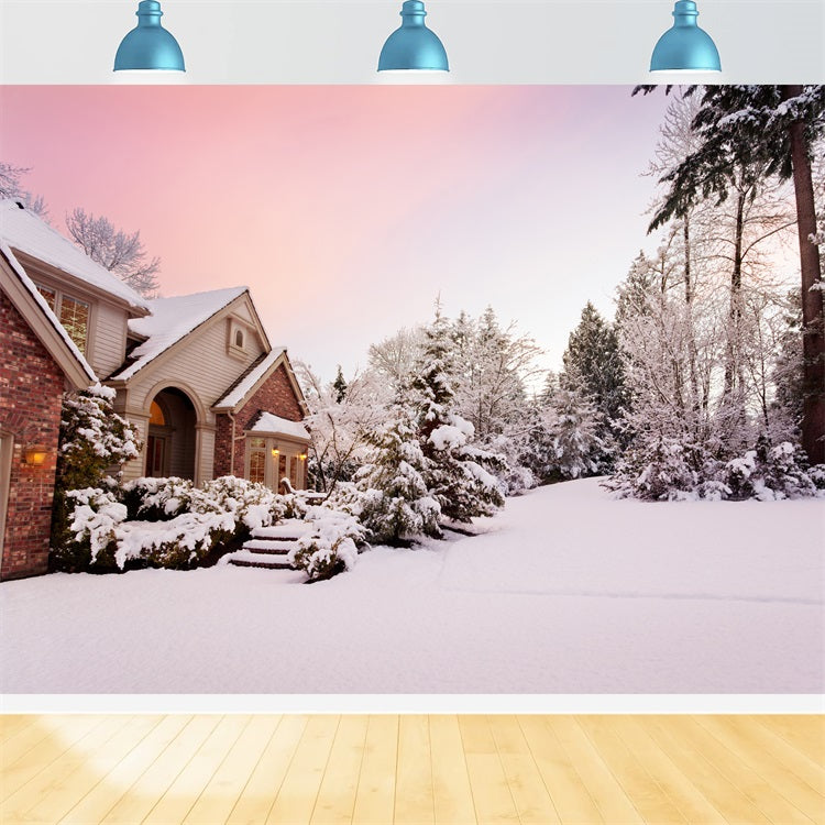 Winter Snowy Country House Pink Sunset Backdrop BRP9-363