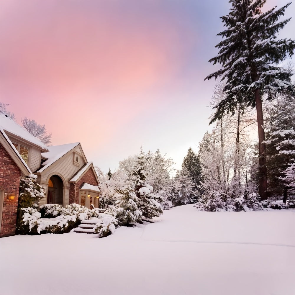 Winter Snowy Country House Pink Sunset Backdrop BRP9-363