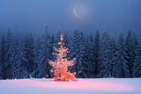 Winter Moonlit Sparkling Christmas Tree Backdrop BRP9-365