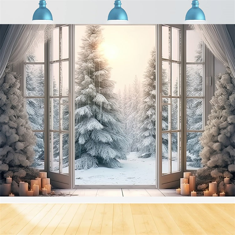 Elegant Frosted Window Opening Winter Forest Backdrop BRP9-375