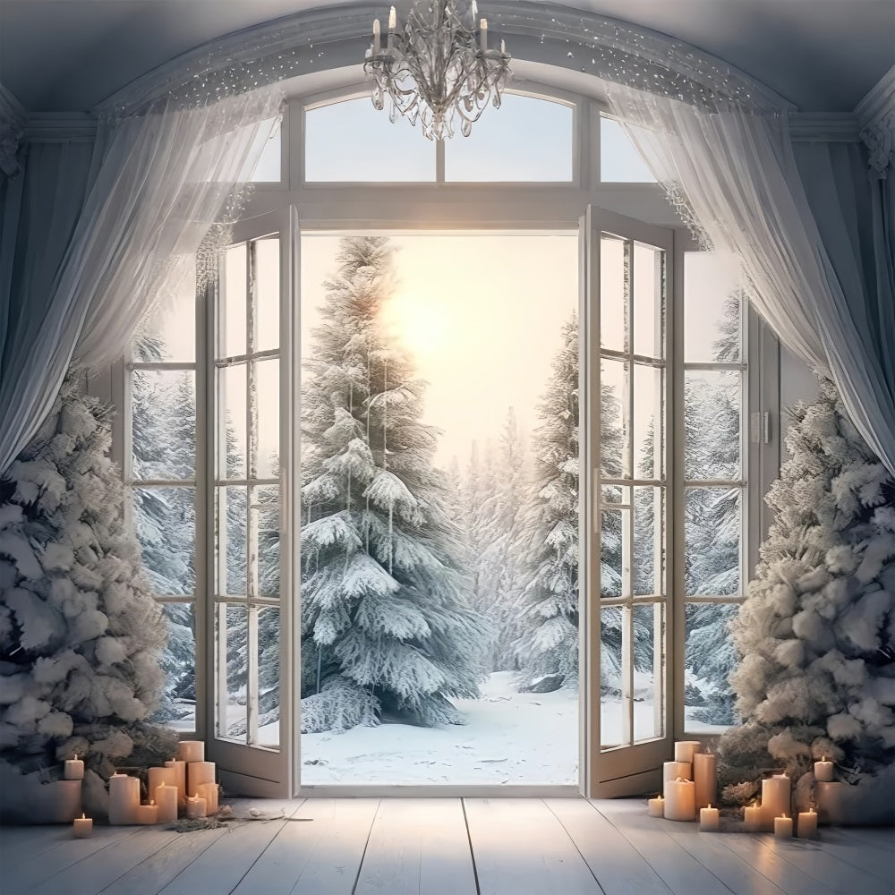 Elegant Frosted Window Opening Winter Forest Backdrop BRP9-375