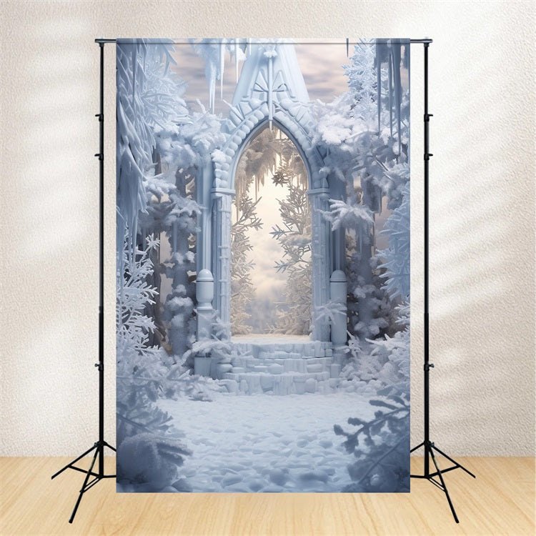 Snowy Winter Arch Surrounded Icy Trees Backdrop BRP9-378