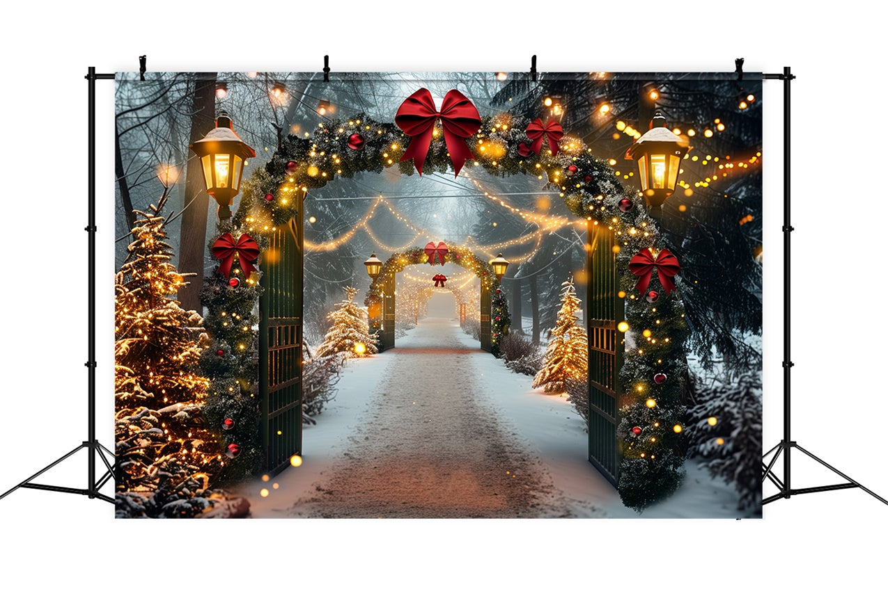 Snowy Christmas Archway Festive Lights Backdrop BRP9-84