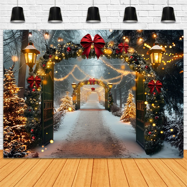 Snowy Christmas Archway Festive Lights Backdrop BRP9-84