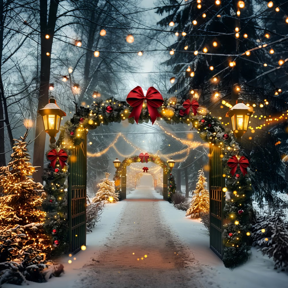 Snowy Christmas Archway Festive Lights Backdrop BRP9-84