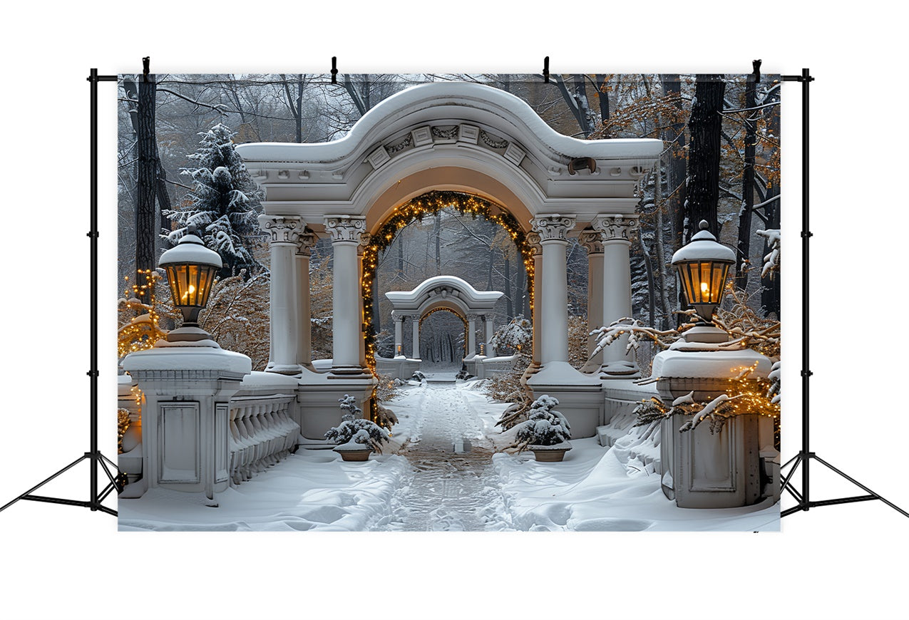 Twinkling Christmas Lights Snowy Archway Backdrop BRP9-88