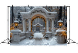 Twinkling Christmas Lights Snowy Archway Backdrop BRP9-88