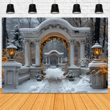 Twinkling Christmas Lights Snowy Archway Backdrop BRP9-88