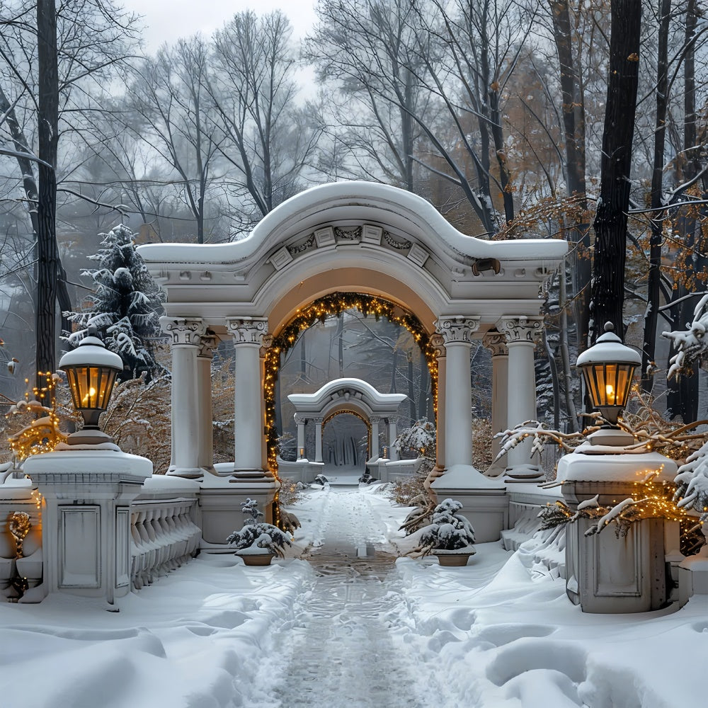 Twinkling Christmas Lights Snowy Archway Backdrop BRP9-88