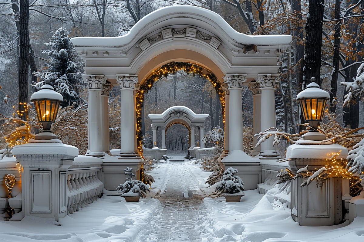 Twinkling Christmas Lights Snowy Archway Backdrop BRP9-88