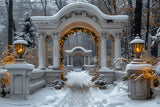 Twinkling Christmas Lights Snowy Archway Backdrop BRP9-88