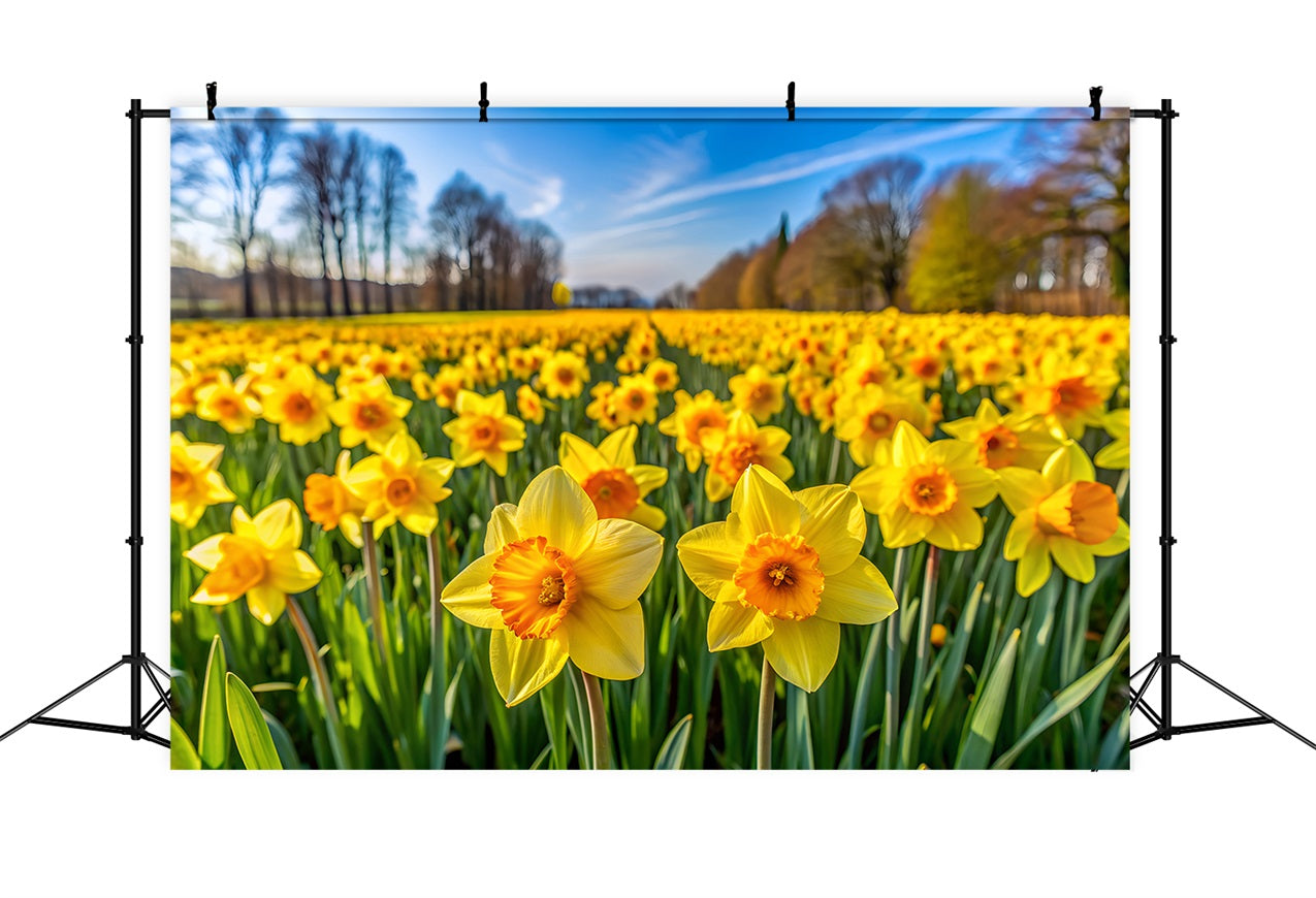 Daffodil Backdrop Bloom Floral Photo Backdrop CJJ2-3