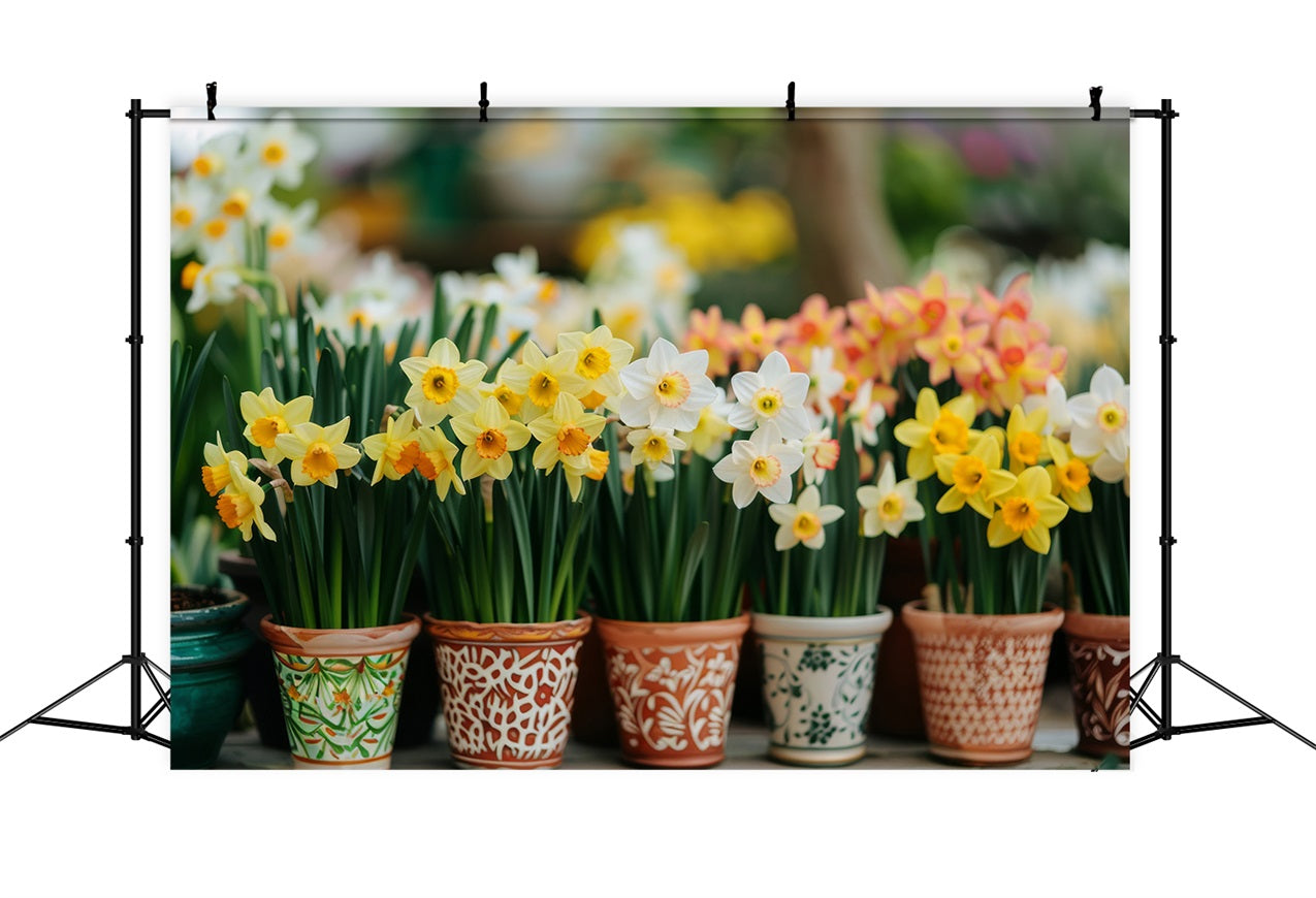 Daffodil Backdrop Potted Spring Flower Backdrops CJJ2-4