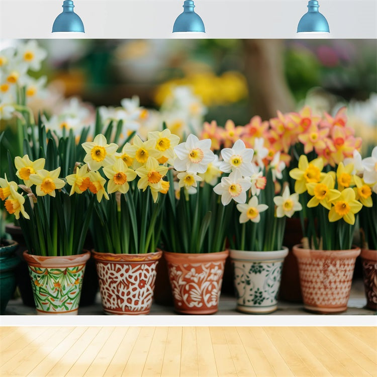 Daffodil Backdrop Potted Spring Flower Backdrops CJJ2-4