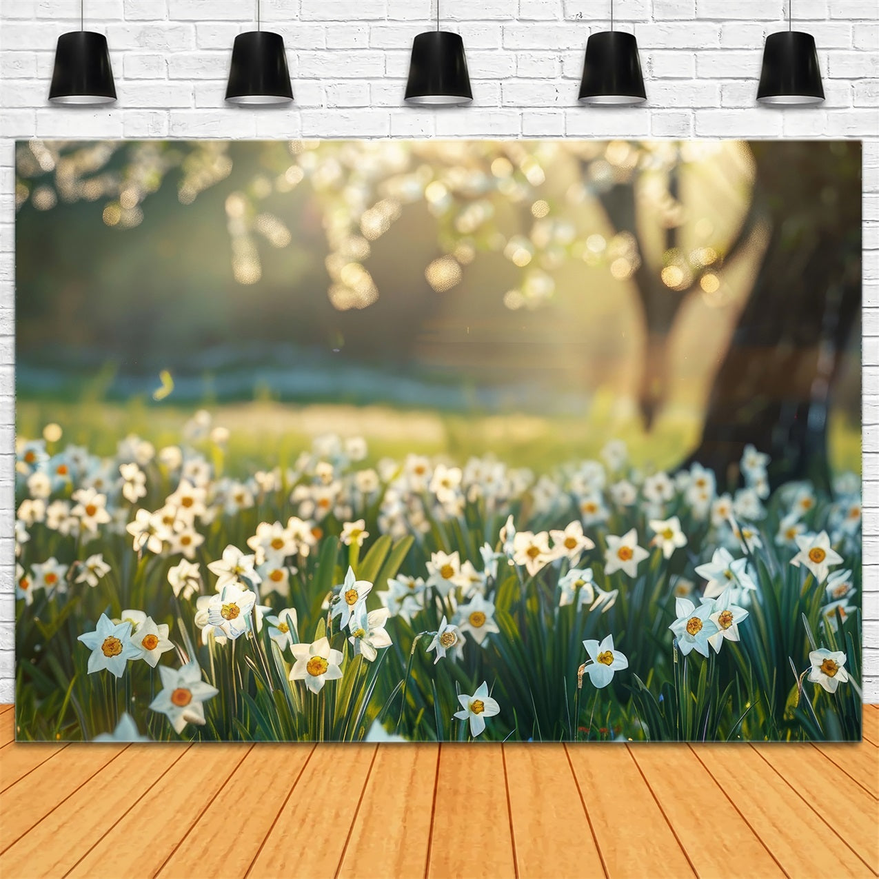 Daffodil Backdrop Sunlit Meadow Floral Backdrop CJJ2-5