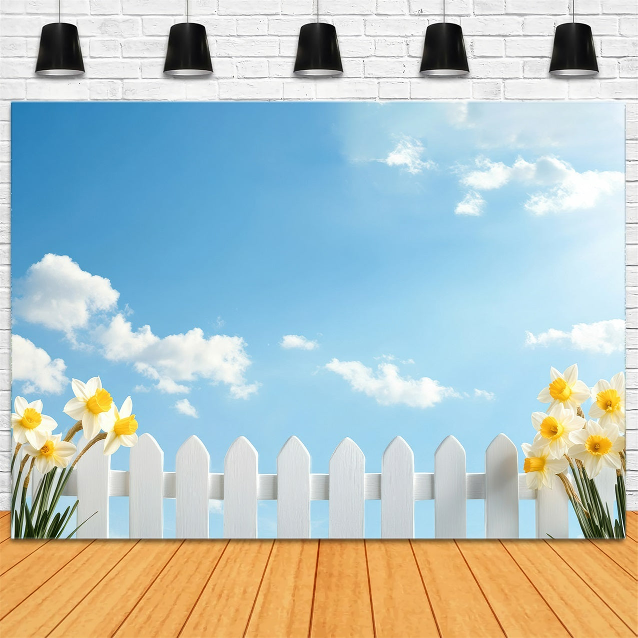 Daffodil Backdrop Blue Sky White Fence Flower Backdrop CJJ2-9