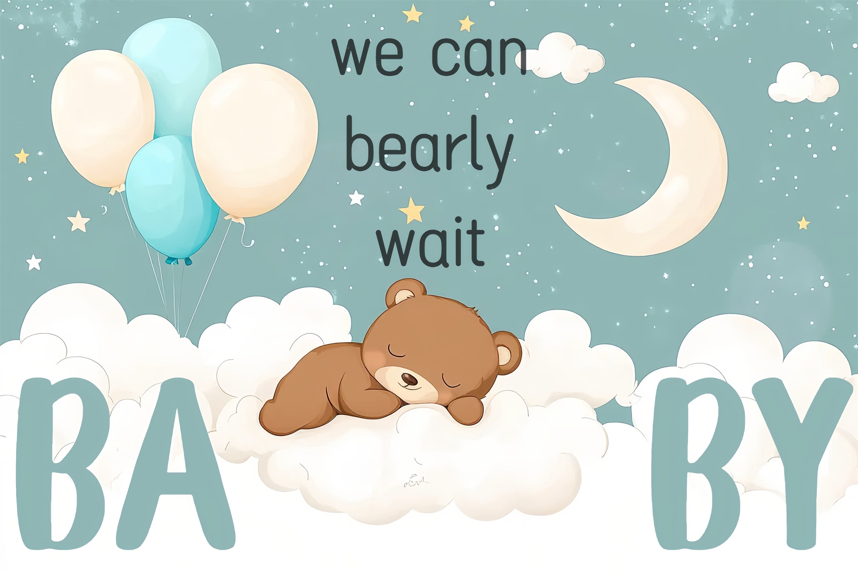 Cloud Backdrop Baby Shower Bear Balloon Backdrop CSH2-165