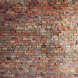 Vintage Red Brick Wall Photo Backdrop  D249-1