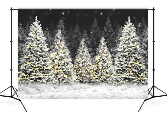 Christmas Night Forest Snow Photography Backdrop D893 – Dbackdrop