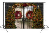 Christmas Door Wreath Lights Decoration Backdrop D900