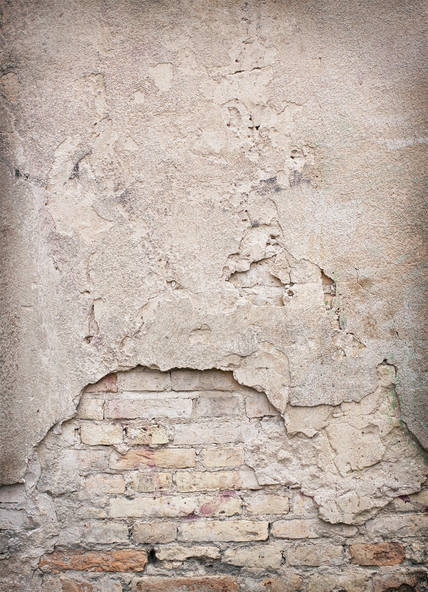 Headshot Backdrop Abstract Brick Concrete Wall Backdrop DBD25-9