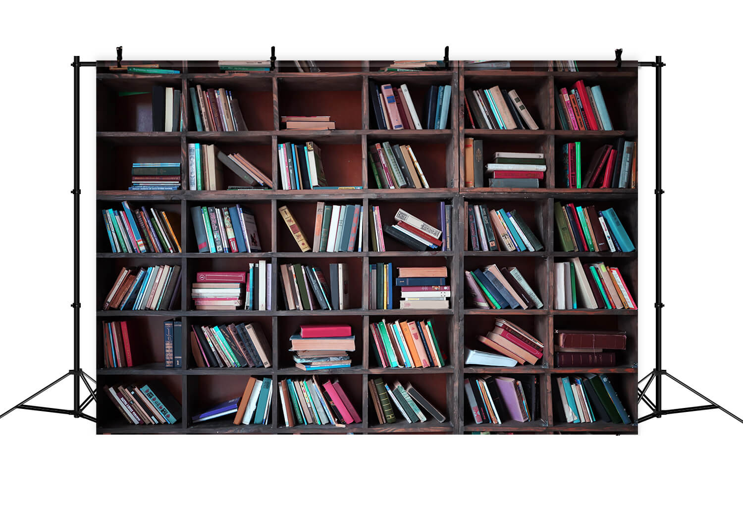 Bookshelf Books Back to School Photography Backdrop DBD7-1