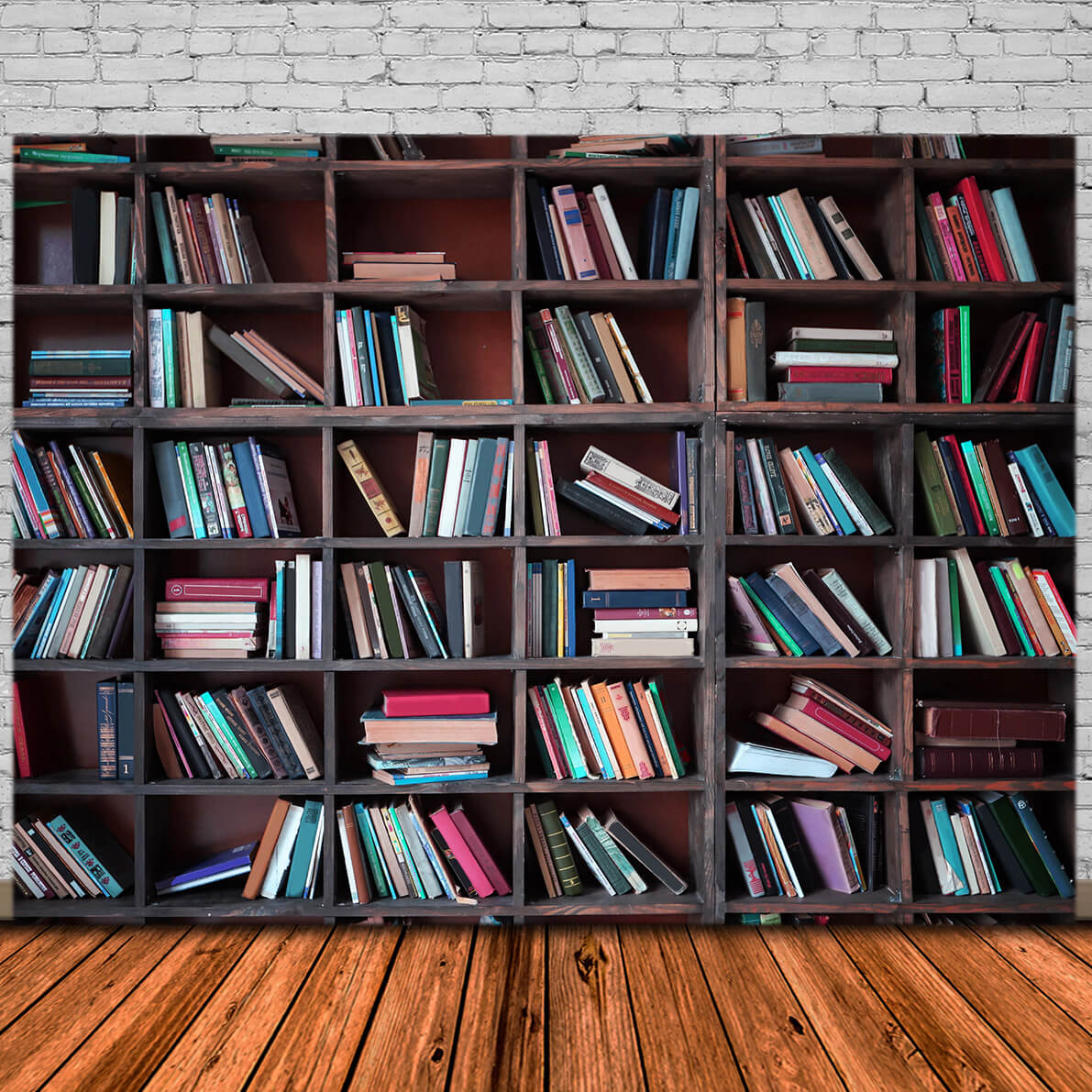 Bookshelf Books Back to School Photography Backdrop DBD7-1