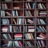 Bookshelf Books Back to School Photography Backdrop DBD7-1