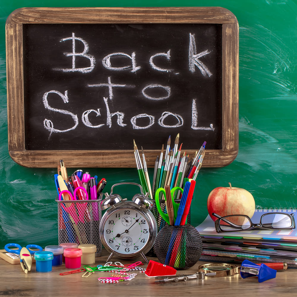 Back to School Chalkboard Photography Backdrop DBD7-15