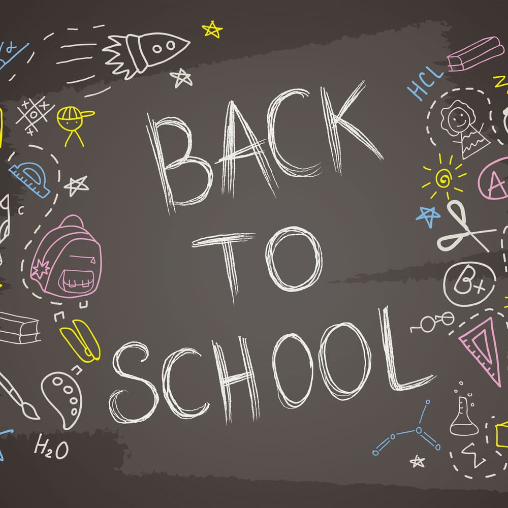 Chalk Writing Back to School Photography Backdrop DBD7-2