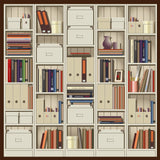 Modern Bookshelf Back to School Backdrop DBD7-46