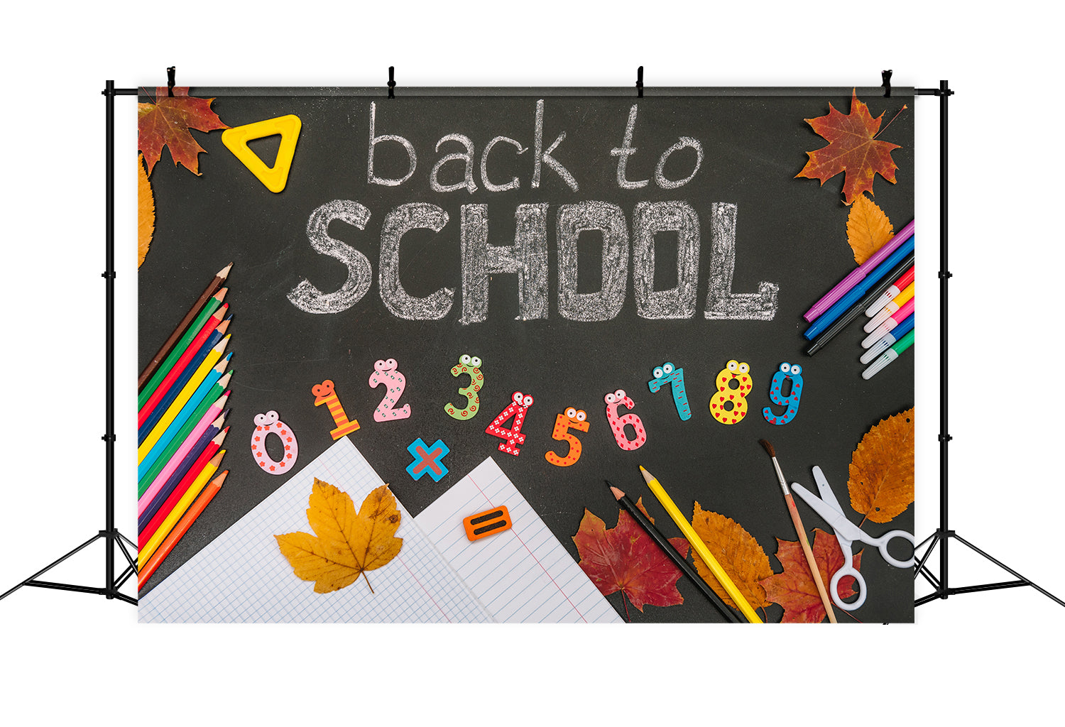 Back to School Chalkboard Drawings Backdrop DBD7-70