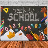 Back to School Chalkboard Drawings Backdrop DBD7-70