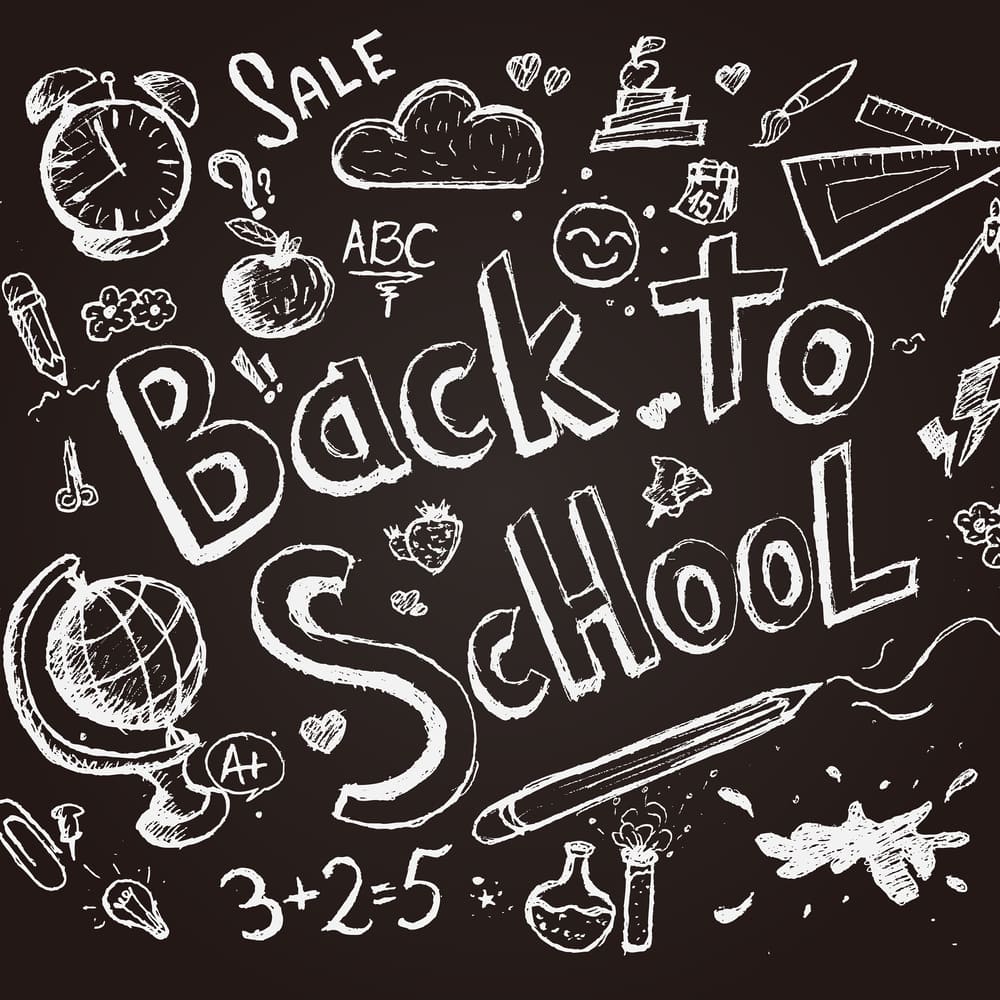 Back to School Chalkboard Drawn Sketch Backdrop DBD7-77