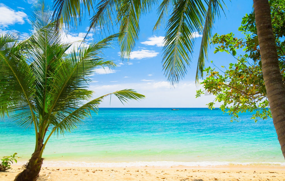 Beach Ocean Coconut Tree Photography Backdrop G-614