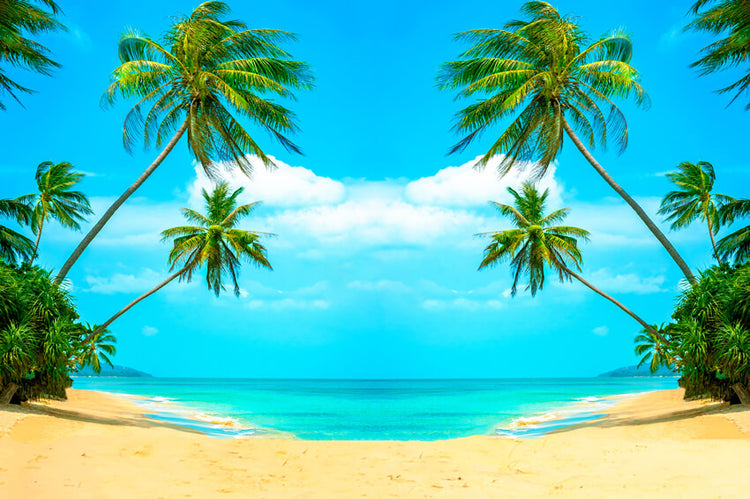 Summer Beach Sea Coconut Tree Photo Booth Backdrop GA-77 – Dbackdrop