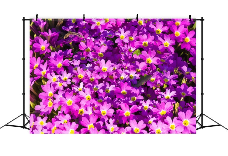 Purple Floral Backdrop Vibrant Wildflower Bloom Backdrop GTY3-30