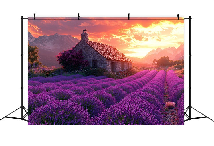 Purple Flower Backdrop Lavender Sunset Cottage Dream Backdrop GTY3-31