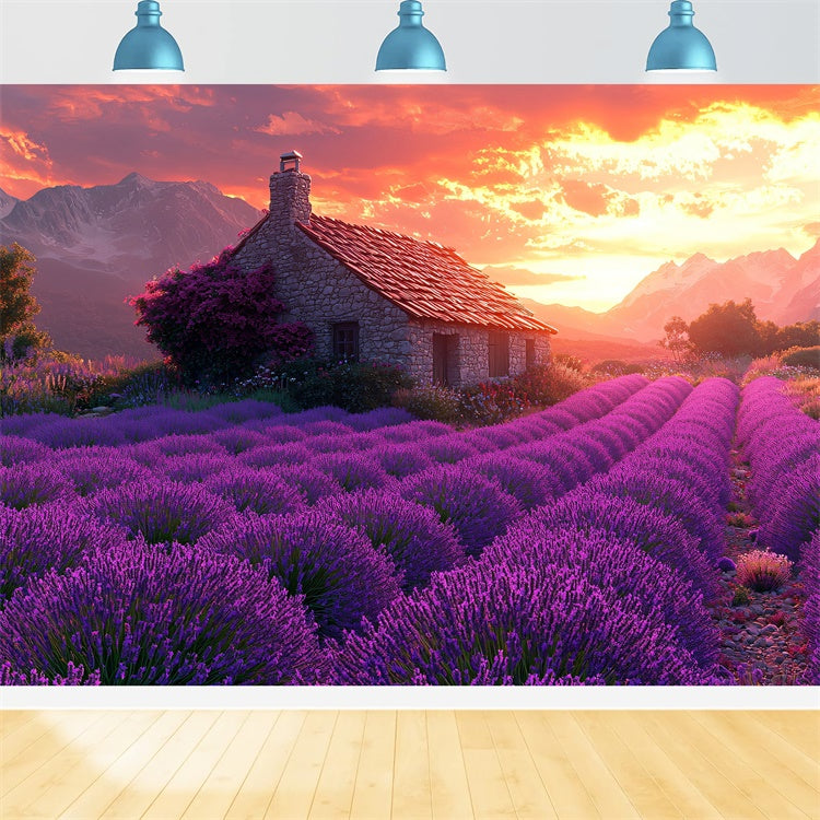 Purple Flower Backdrop Lavender Sunset Cottage Dream Backdrop GTY3-31