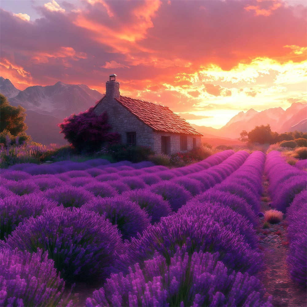 Purple Flower Backdrop Lavender Sunset Cottage Dream Backdrop GTY3-31