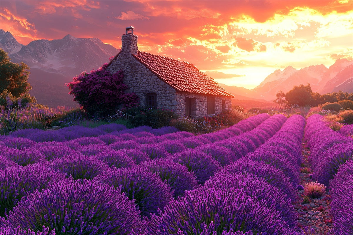 Purple Flower Backdrop Lavender Sunset Cottage Dream Backdrop GTY3-31